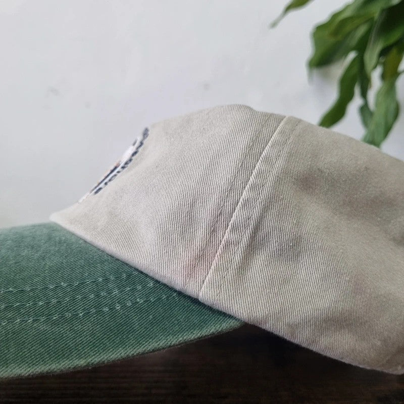 Vintage American Baseball Hat Snapback cap one size adjustable beige green turtle
