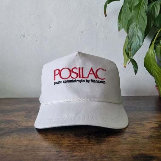 Vintage American Trucker Hat Snapback cap one size adjustable white Posilac