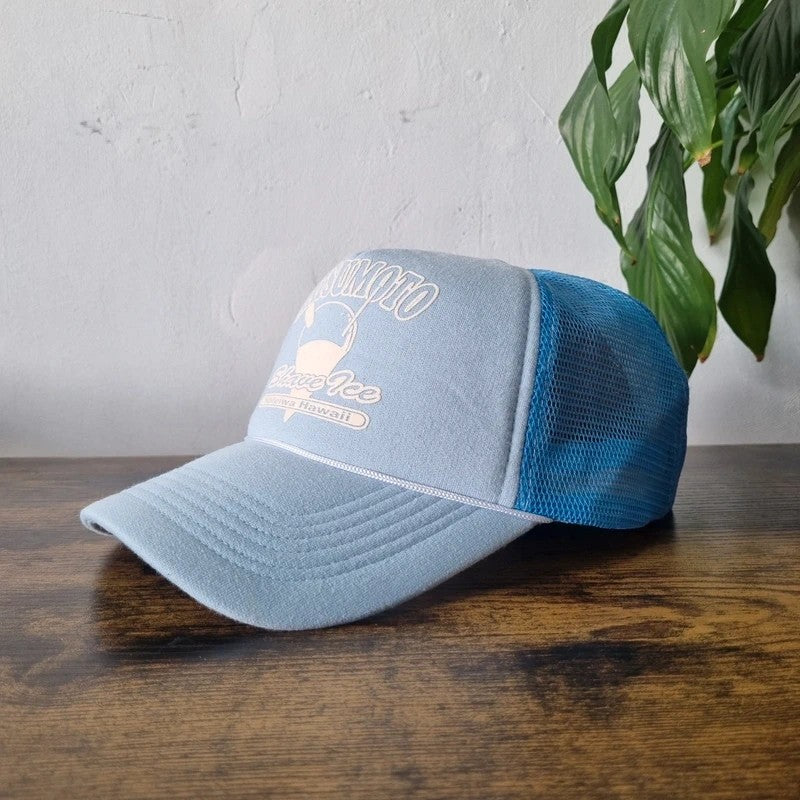 Vintage American Trucker Hat Snapback cap one size adjustable light blue Matsumoto Shave Ice y2k