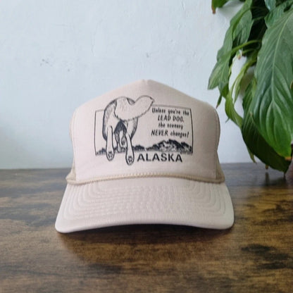 Vintage American Trucker Hat Snapback cap one size adjustable cream Alaska Dog