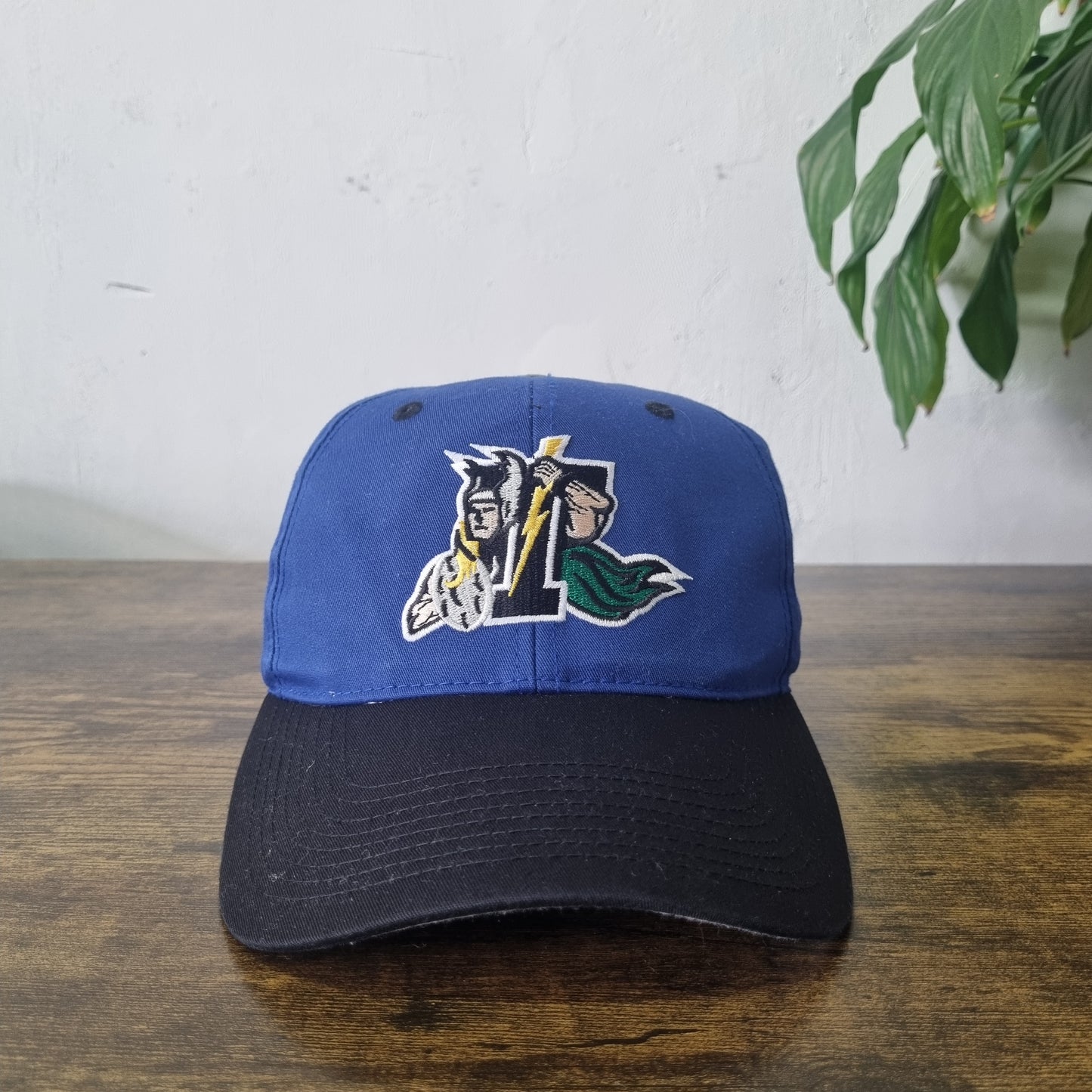 Vintage American Trucker Hat Snapback cap one size adjustable