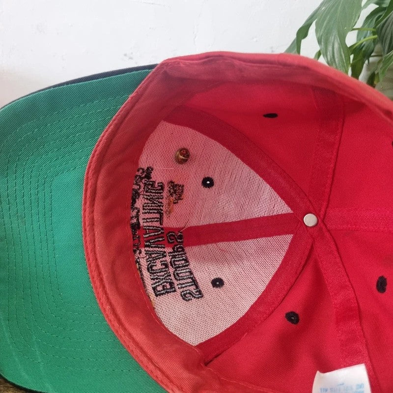 Vintage American Baseball Hat Snapback cap one size red excavating