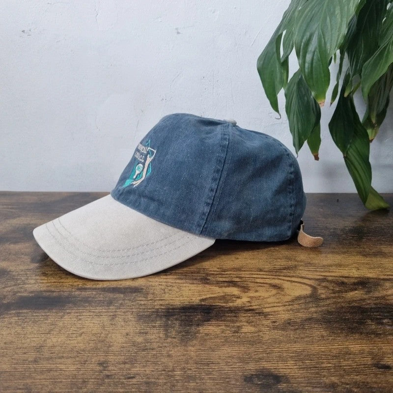 Vintage American Baseball Hat Snapback cap one size adjustable Ingersoll Golf blue beige