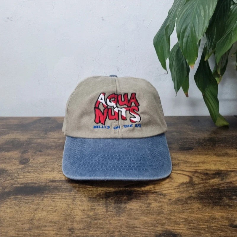 Vintage American Baseball Hat Snapback cap one size adjustable khaki blue Aqua Nuts