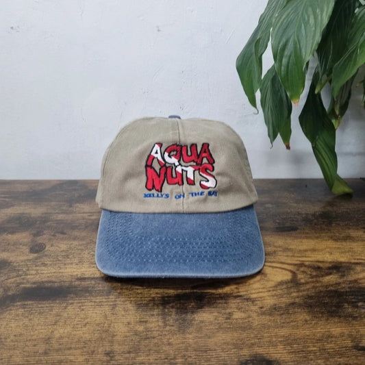 Vintage American Baseball Hat Snapback cap one size adjustable khaki blue Aqua Nuts
