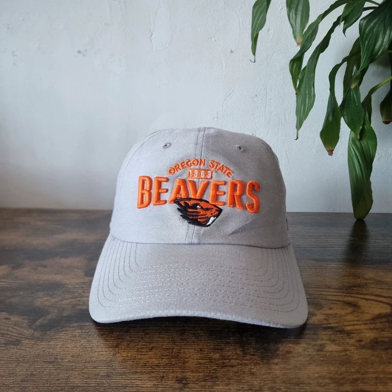 Vintage American baseball Hat Snapback cap one size adjustable grey beaver