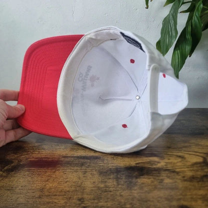 Vintage American baseball Hat Snapback cap one size adjustable red white Williams painting