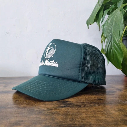 Vintage American Baseball Hat Snapback cap one size adjustable green gander mountain