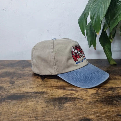 Vintage American Baseball Hat Snapback cap one size adjustable khaki blue Aqua Nuts