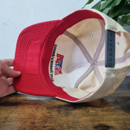 Vintage American Baseball Hat Snapback cap one size adjustable dairy farmers of america